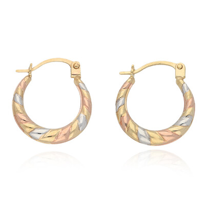 Boucles d'oreilles en or