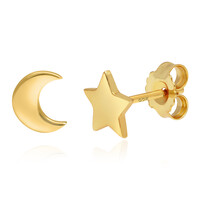 Boucles d'oreilles en argent