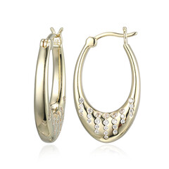 Boucles d'oreilles en argent et Zircon