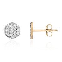 Boucles d'oreilles en or et Diamant I3 (I)