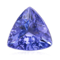  Tanzanite AAA (gemme et boîte de collection)