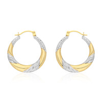 Boucles d'oreilles en or