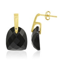 Boucles d'oreilles en argent et Onyx noir