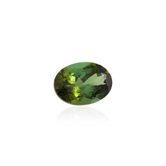  Tourmaline verte (gemme et boîte de collection)