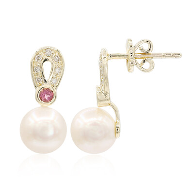 Boucles d'oreilles en or et Perle d'Akoya (TPC)