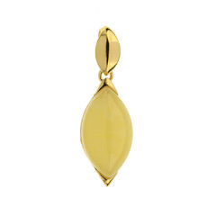 Pendentif en argent et Ambre baltique