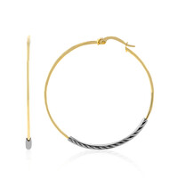 Boucles d'oreilles en argent