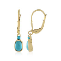 Boucles d'oreilles en argent et Turquoise Sleeping Beauty
