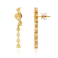 Boucles d'oreilles en or et Diamant jaune SI1 (de Melo)