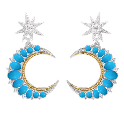 Boucles d'oreilles en argent et Turquoise Sleeping Beauty (Dallas Prince Designs)