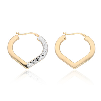 Boucles d'oreilles en argent
