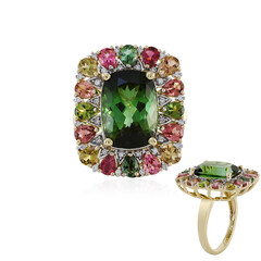 Bague en or et Tourmaline de Santa Rosa (D'vyere)