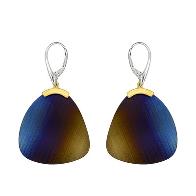 Boucles d'oreilles (dagen)
