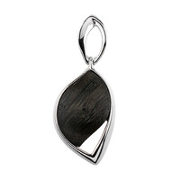Pendentif en argent et Chêne des marais