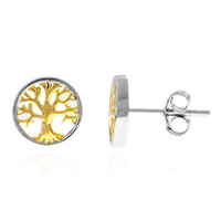 Boucles d'oreilles en argent