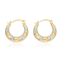 Boucles d'oreilles en or