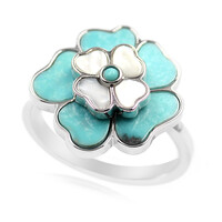 Bague en argent et Turquoise de Campitos (Anne Bever)