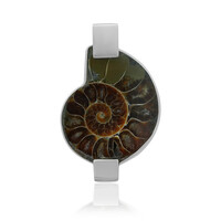 Pendentif en argent et Ammonite