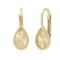 Boucles d'oreilles en or