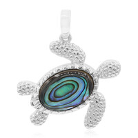 Pendentif en argent et Coquillage d'Abalone