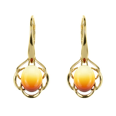 Boucles d'oreilles en argent et Ambre baltique (dagen)