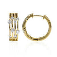Boucles d'oreilles en or et Diamant IF (D)