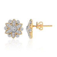 Boucles d'oreilles en or et Diamant IF (D)