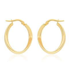 Boucles d'oreilles en or