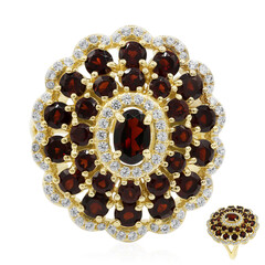 Bague en argent et Grenat