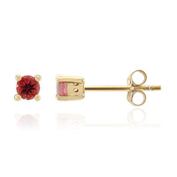 Boucles d'oreilles en or et Rubellite