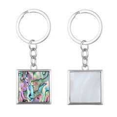 Accessoire et Coquillage d'Abalone