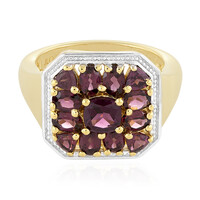 Bague en argent et Grenat Rhodolite