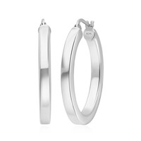 Boucles d'oreilles en argent