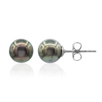 Boucles d'oreilles en argent et Perle de culture de Tahiti (TPC)
