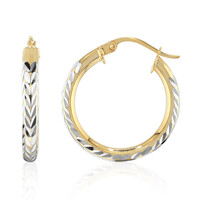 Boucles d'oreilles en argent