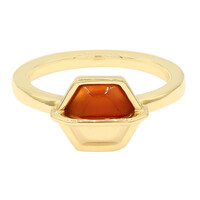 Bague en argent et Cornaline