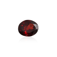  Grenat du Mozambique 2,508 ct (gemme et boîte de collection)