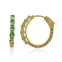 Boucles d'oreilles en argent et Grenat Tsavorite