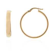 Boucles d'oreilles en or