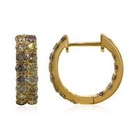 Boucles d'oreilles en or et Diamant fancy SI2 (CIRARI)