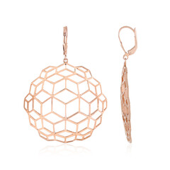 Boucles d'oreilles en argent (SAELOCANA)