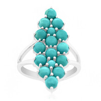 Bague en argent et Turquoise de Campitos (Anne Bever)