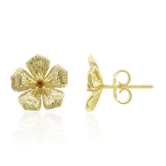 Boucles d'oreilles en argent et Citrine