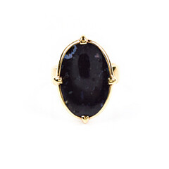 Bague en argent et Bois de palmier fossilisé