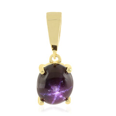 Pendentif en argent et Grenat étoilé