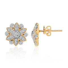 Boucles d'oreilles en or et Diamant IF (D)