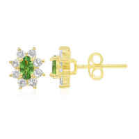 Boucles d'oreilles en argent et Grenat Tsavorite