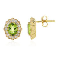 Boucles d'oreilles en argent et Péridot