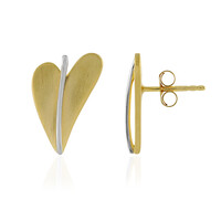 Boucles d'oreilles en argent
