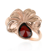 Bague en argent et Ambre baltique